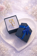 Anillo